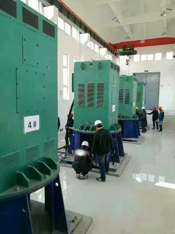 华州某污水处理厂使用我厂的立式高压电机安装现场